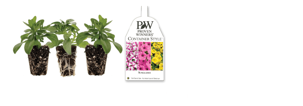 3 Liners + Recipe Specific Container Garden Tag