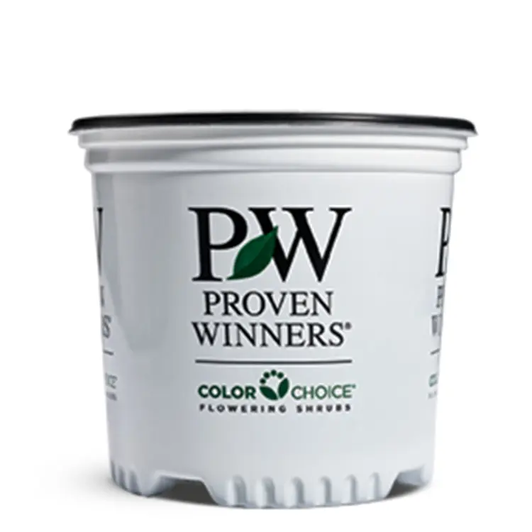 ColorChoice-1-Gallon