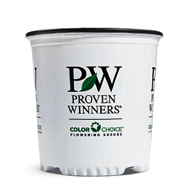 ColorChoice-2-Gallon