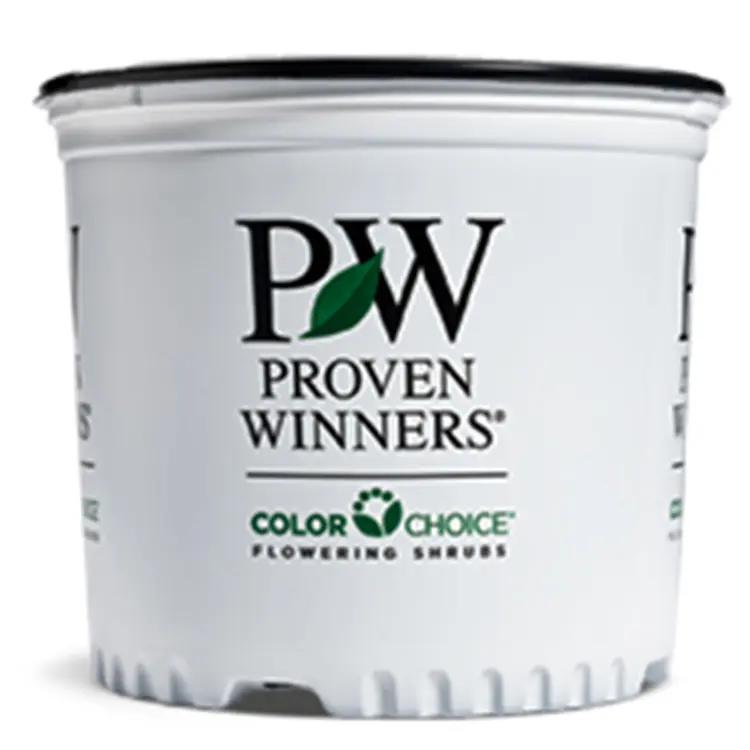 ColorChoice-3-Gallon