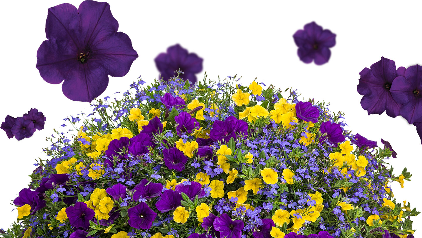 Background-copy