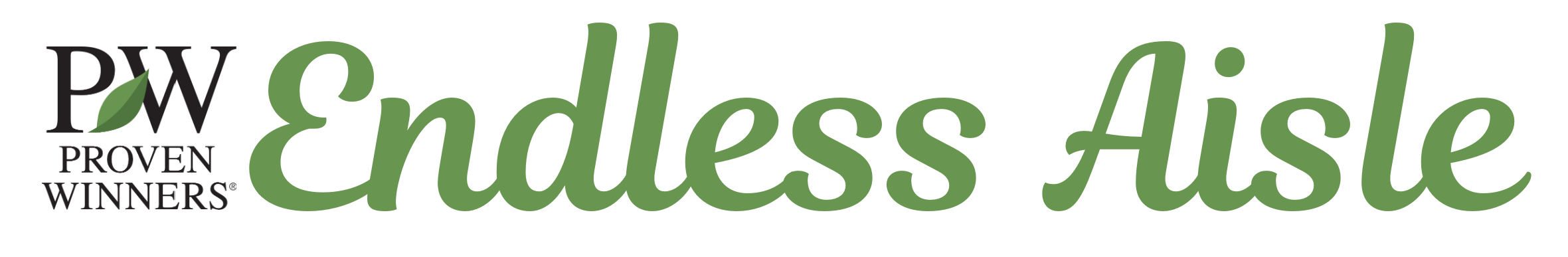 Endless Aisle Logo