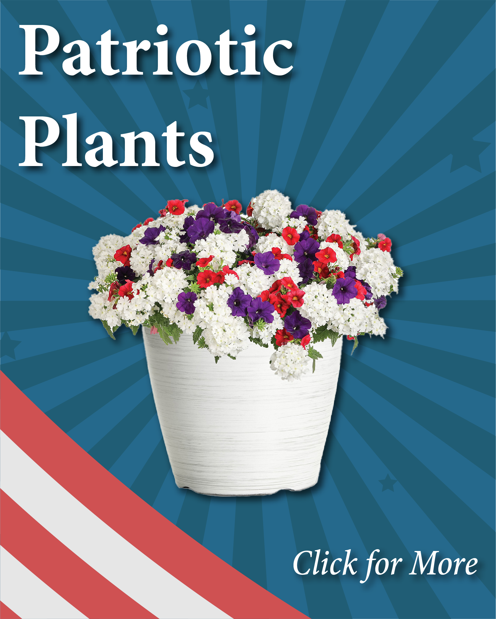 Signature Display Garden